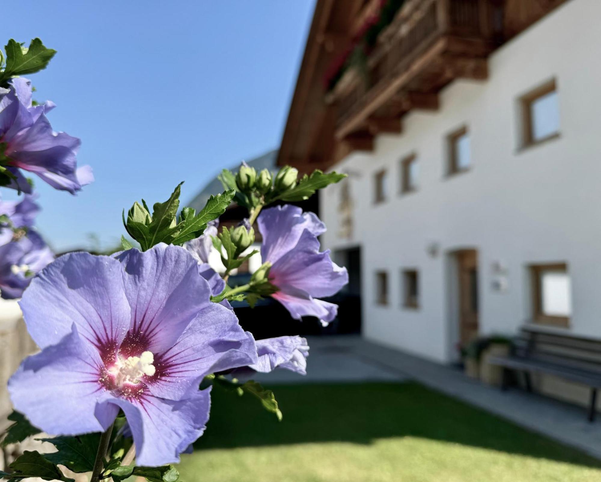 Apartment Waldhart Umhausen